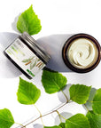 Birch Moisturizing Cream with Betulin 50ml - Sylveco - Vesa Beauty