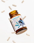 Ibsobiotic FORTE - Restoring the gut microbiota 30capsules - HealthLabs Care - Vesa Beauty