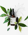Ministerstwo Organic Bay Laurel Hydrosol 100ml - Ministerstwo - Vesa Beauty