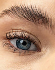 PAESE Browstory - Eyebrow styling soap 8g - PAESE - Vesa Beauty