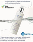 Sensum Mare ALGOHAIR Effectively Cleansing Gentle Shampoo with Chelates 250ml - Sensum Mare - Vesa Beauty