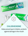 Sylveco Natur Blanc - Natural Toothpaste Extra Fresh ARCTIC MINT 100ml - Sylveco - Vesa Beauty