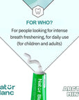 Sylveco Natur Blanc - Natural Toothpaste Extra Fresh ARCTIC MINT 100ml - Sylveco - Vesa Beauty