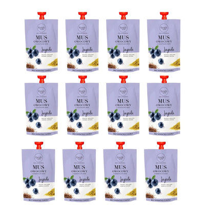 12x Foods by Ann Fruit puree with cereals Blueberry & Millet flakes & Linseed 100g - Foods by Ann - Vesa Beauty