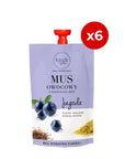 Fruit puree with cereals blueberry & millet flakes & linseed 100g