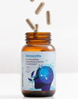 HealthLabs Care MemoryMe - Memory & Focus Formula 60 capsules - HealthLabs Care - Vesa Beauty