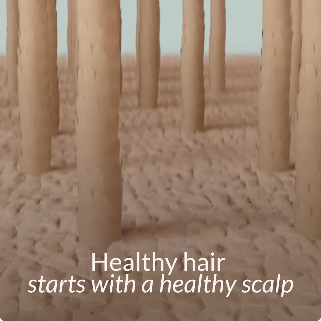HealthLabs Care Scalp Regenerating serum - Balance On 50ml - HealthLabs Care - Vesa Beauty