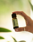 Pine essential oil - Breath 10ml - Sadowski Bee Gardens - Vesa Beauty