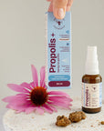 Sadowski Bee Gardens Propolis+ Throat Spray 30ml - Sadowski Bee Gardens - Vesa Beauty
