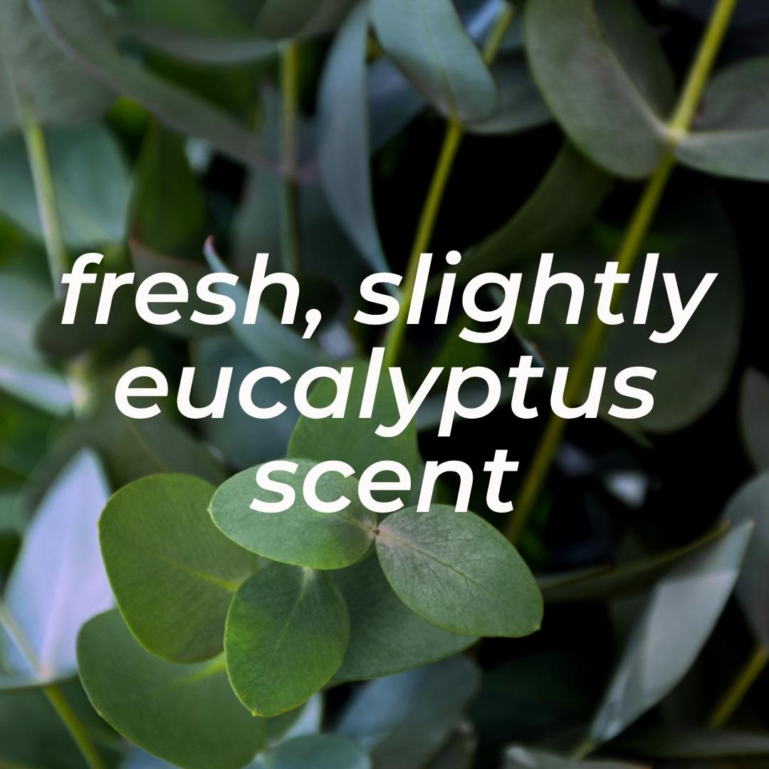 SHIELD ME DAILY Gentle Mineral Deodorant for Normal Skin 50ml - Veoli Botanica - Vesa Beauty