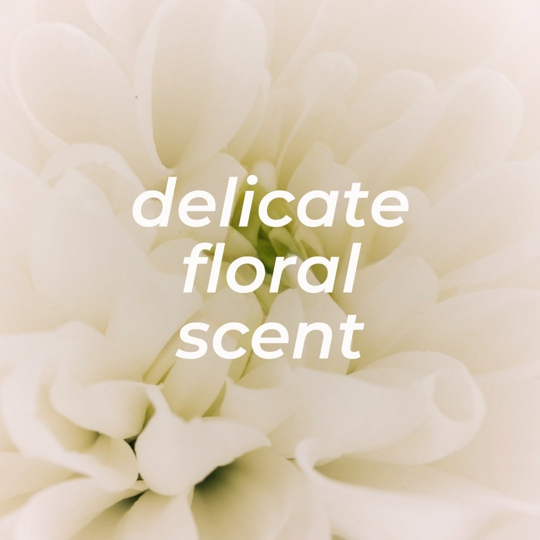 SHIELD ME SOFTLY Soothing Mineral Deodorant for Sensitive Skin 50ml - Veoli Botanica - Vesa Beauty