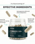 SUPERSONIC +LABS Ashwagandha+ stress complex 180 vegan capsules - SUPERSONIC - Vesa Beauty