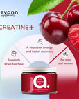 Supplements Creatine+ 135g - Levann - Vesa Beauty